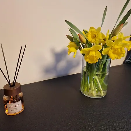 Apartament Butas Kowno