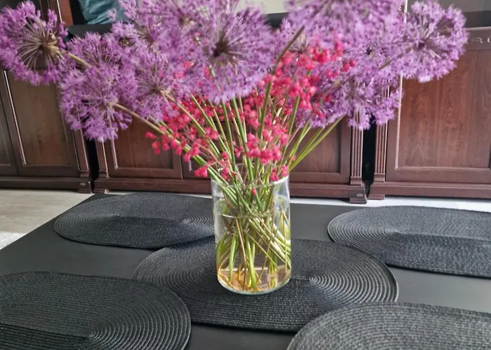 Butas Apartamento Kaunas